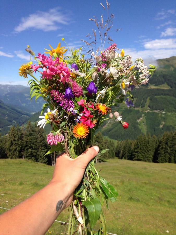 Badererhof Christine Wechselberger Hotel ชตุมม์ ภายนอก รูปภาพ