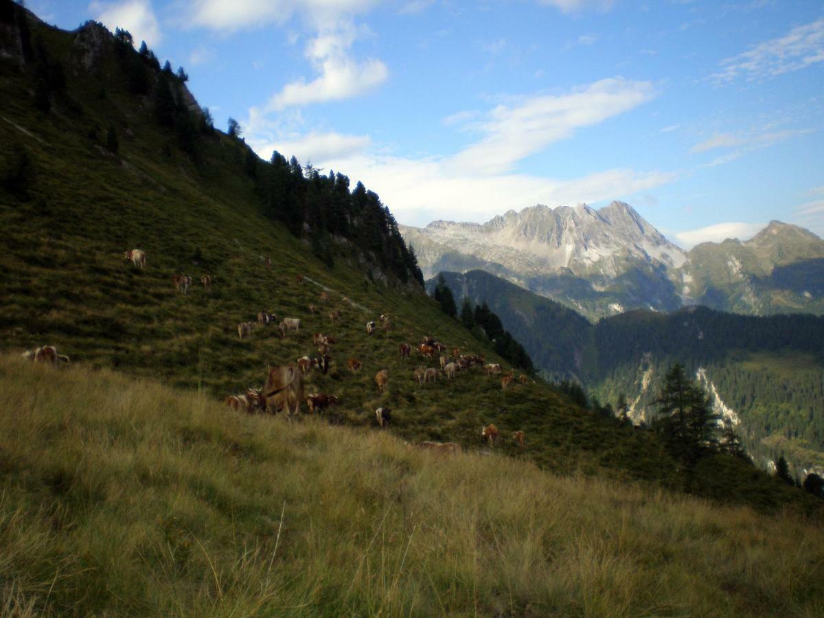 Badererhof Christine Wechselberger Hotel ชตุมม์ ภายนอก รูปภาพ
